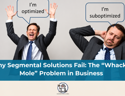Why Segmental Solutions Fail: The “Whack-a-Mole” Problem in Business  
